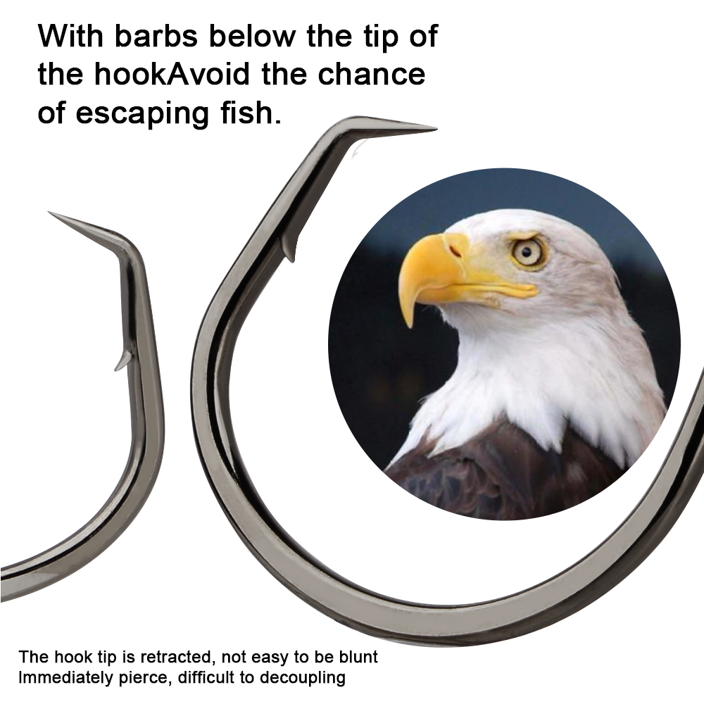FTK 낚시 바늘 낚시용 문어 원형 바늘 1-6 # - - Fishing Hook Assortment 리뷰 및 가격